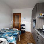 Rent 3 bedroom apartment of 70 m² in Pisa