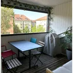 Rent 3 bedroom apartment in Bern