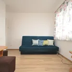 Rent 1 bedroom apartment of 20 m² in Szczecin