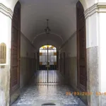 Rent 1 bedroom apartment of 20 m² in Turin