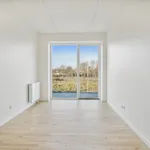 Rent 3 bedroom apartment of 78 m² in Nørresundby