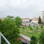 Rent 1 bedroom apartment of 43 m² in Brno