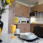 Rent 1 bedroom flat in Sheffield