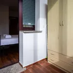 Rent 1 bedroom apartment in Udine