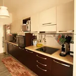 Rent 5 bedroom apartment of 185 m² in Roma