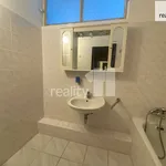 Rent 3 bedroom apartment of 63 m² in Plzeň