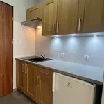 Rent 1 bedroom apartment of 25 m² in Poznan