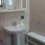 Rent 1 bedroom apartment of 18 m² in Sala Bolognese