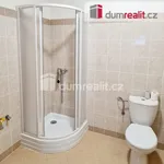 Rent 1 bedroom apartment of 37 m² in Úholičky