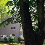 Rent 2 bedroom apartment of 37 m² in Katowice