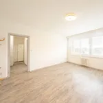 Rent 1 bedroom apartment of 38 m² in Ostrava