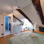 Rent 1 bedroom apartment of 38 m² in Turin