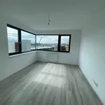 Rent 1 bedroom apartment in Plzeň