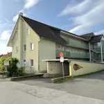 Rent 2 bedroom apartment of 48 m² in Steiermark