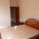 Rent 2 bedroom apartment of 60 m² in Cagliari