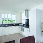 Rent 4 bedroom house of 125 m² in Tilburg