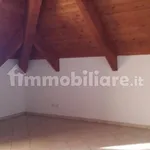 Rent 2 bedroom apartment of 60 m² in Turin