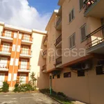 Rent 3 bedroom apartment of 55 m² in Cetraro