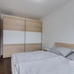 Pronajměte si 2 ložnic/e byt o rozloze 58 m² v Praha