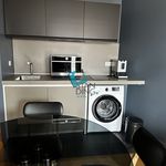 Rent 2 bedroom apartment of 44 m² in Lille