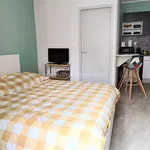 Appartement de 21 m² avec 1 chambre(s) en location à Albi