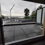 Rent 1 bedroom apartment in Stekene