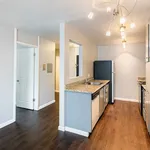 Rent 1 bedroom apartment in Berkeley