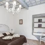 Rent 1 bedroom apartment in Florence