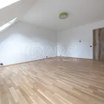 Rent 4 bedroom apartment in Capital City of Prague