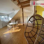 Rent 1 bedroom apartment of 98 m² in Prague