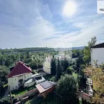 Rent 1 bedroom apartment of 46 m² in Praha