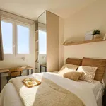 Alquilar 4 dormitorio apartamento en Madrid