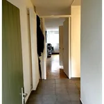 Rent 1 bedroom apartment in Zurich