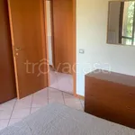 Rent 2 bedroom apartment of 60 m² in Treviolo