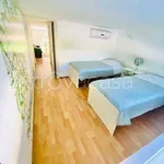 Rent 3 bedroom apartment of 90 m² in Pisa