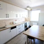 Rent 2 bedroom apartment of 48 m² in Toruń