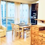 Rent 1 bedroom apartment of 33 m² in Poznan