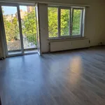  appartement avec 1 chambre(s) en location à Ganshoren