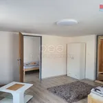 Rent 1 bedroom house of 169 m² in Karlovy Vary