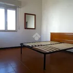 Rent 2 bedroom apartment of 60 m² in Alessandria