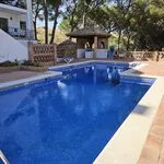 Rent 2 bedroom apartment of 105 m² in Nueva Andalucía