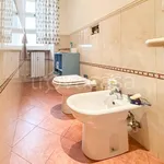 Rent 4 bedroom apartment of 100 m² in Torino