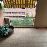 Rent 4 bedroom apartment of 101 m² in Bologna