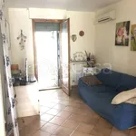 Rent 3 bedroom apartment of 66 m² in Pisa