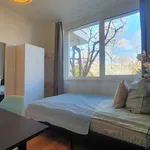 Rent a room in berlin