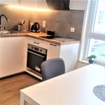 Rent 2 bedroom apartment of 38 m² in Łódź