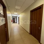 Rent 1 bedroom apartment of 20 m² in Torino