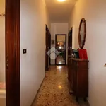 Rent 3 bedroom apartment of 110 m² in Brindisi