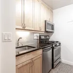 Rent 1 bedroom apartment of 505 m² in Manhattan