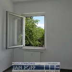 Rent 2 bedroom apartment of 40 m² in Greiz